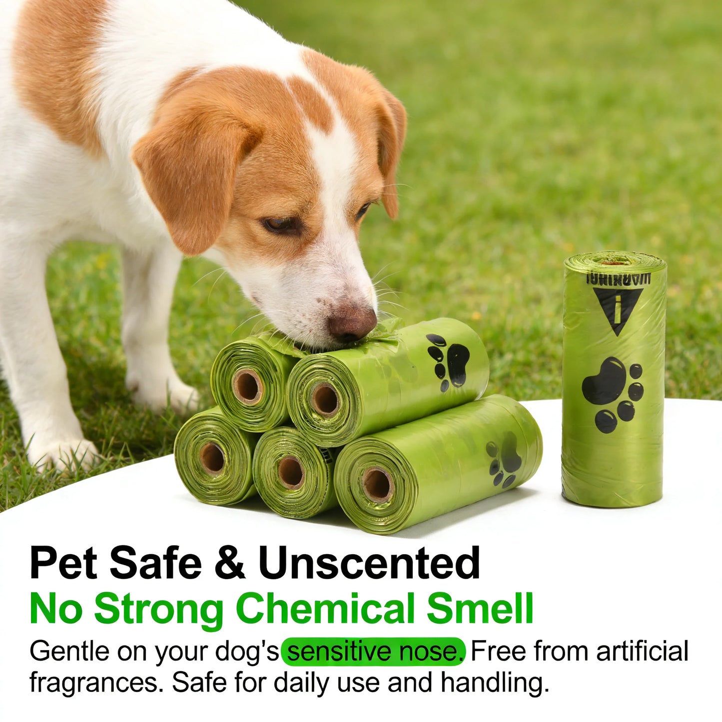 Eco Friendly Poop Bags
