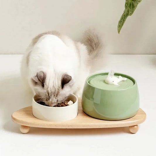 Ceramic Cats Water Fountain