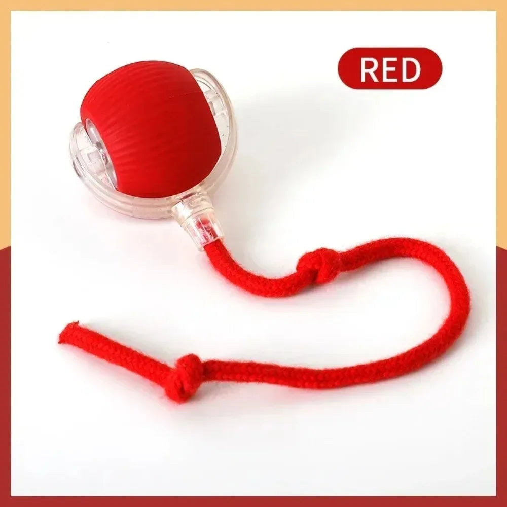 Smart Hunting Cat Toy