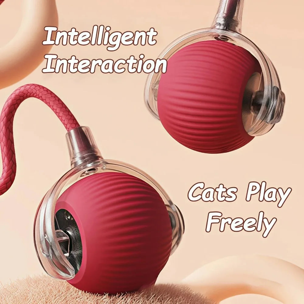 Smart Hunting Cat Toy