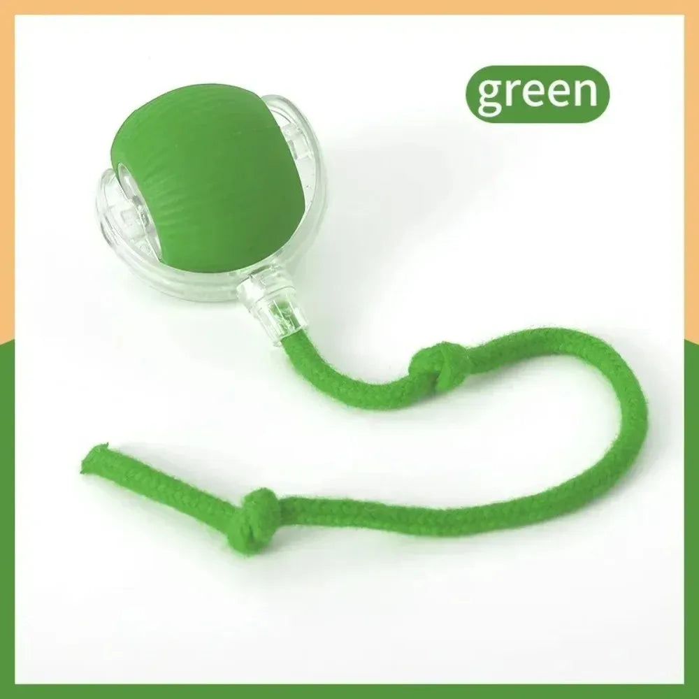 Smart Hunting Cat Toy