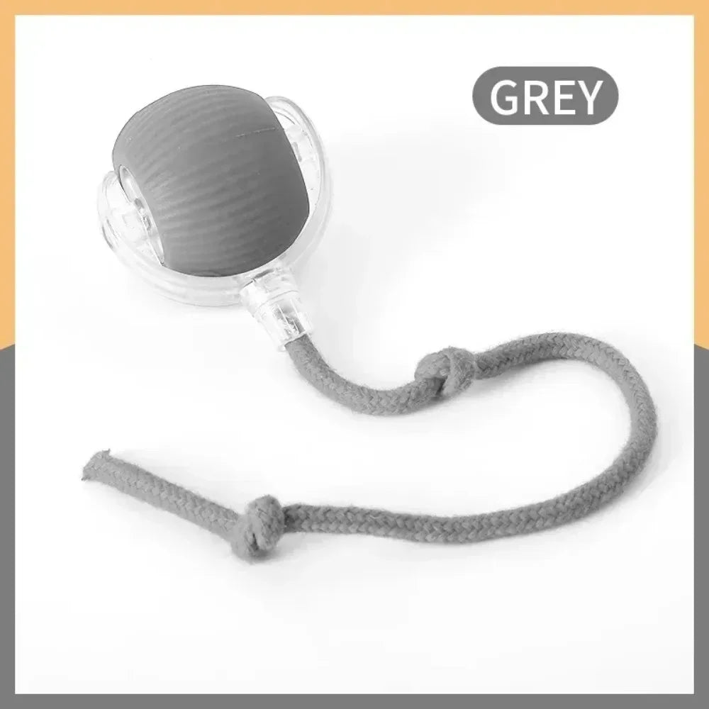 Smart Hunting Cat Toy