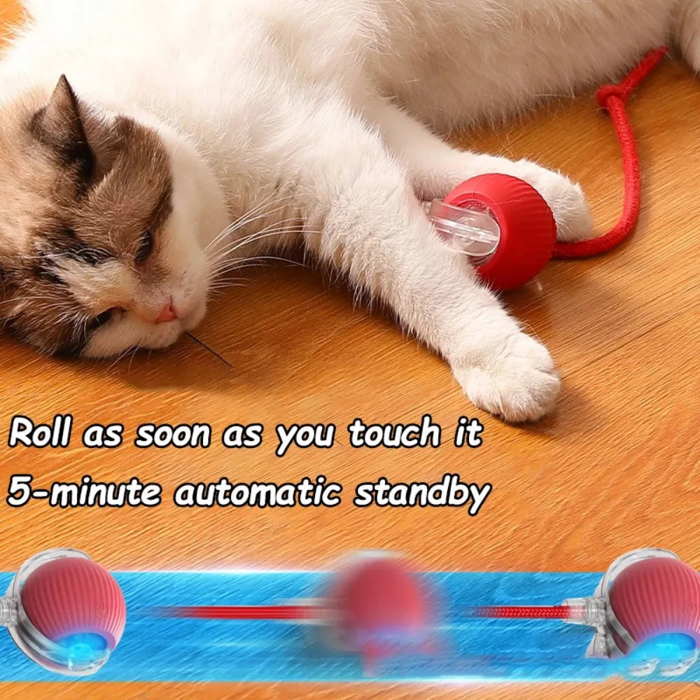 Smart Hunting Cat Toy