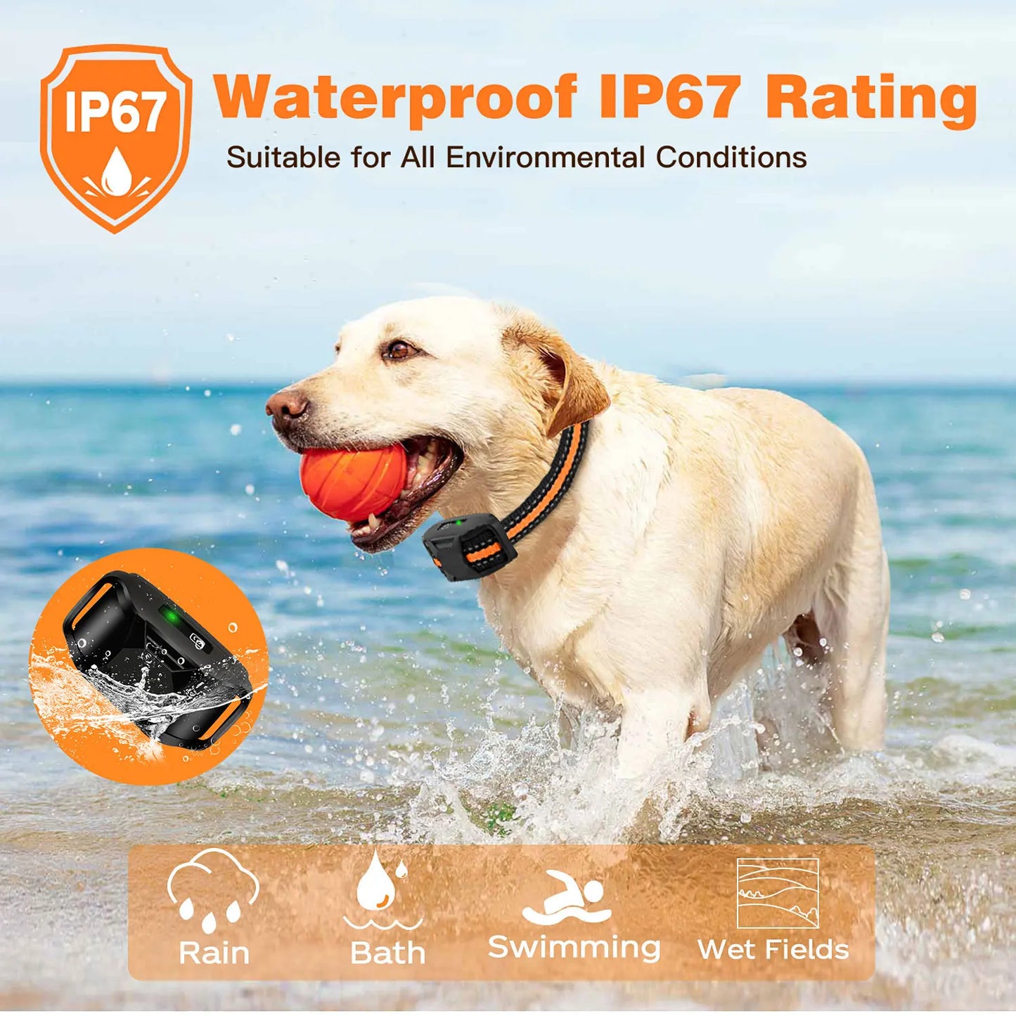 Electric Dogs  Training Collar
