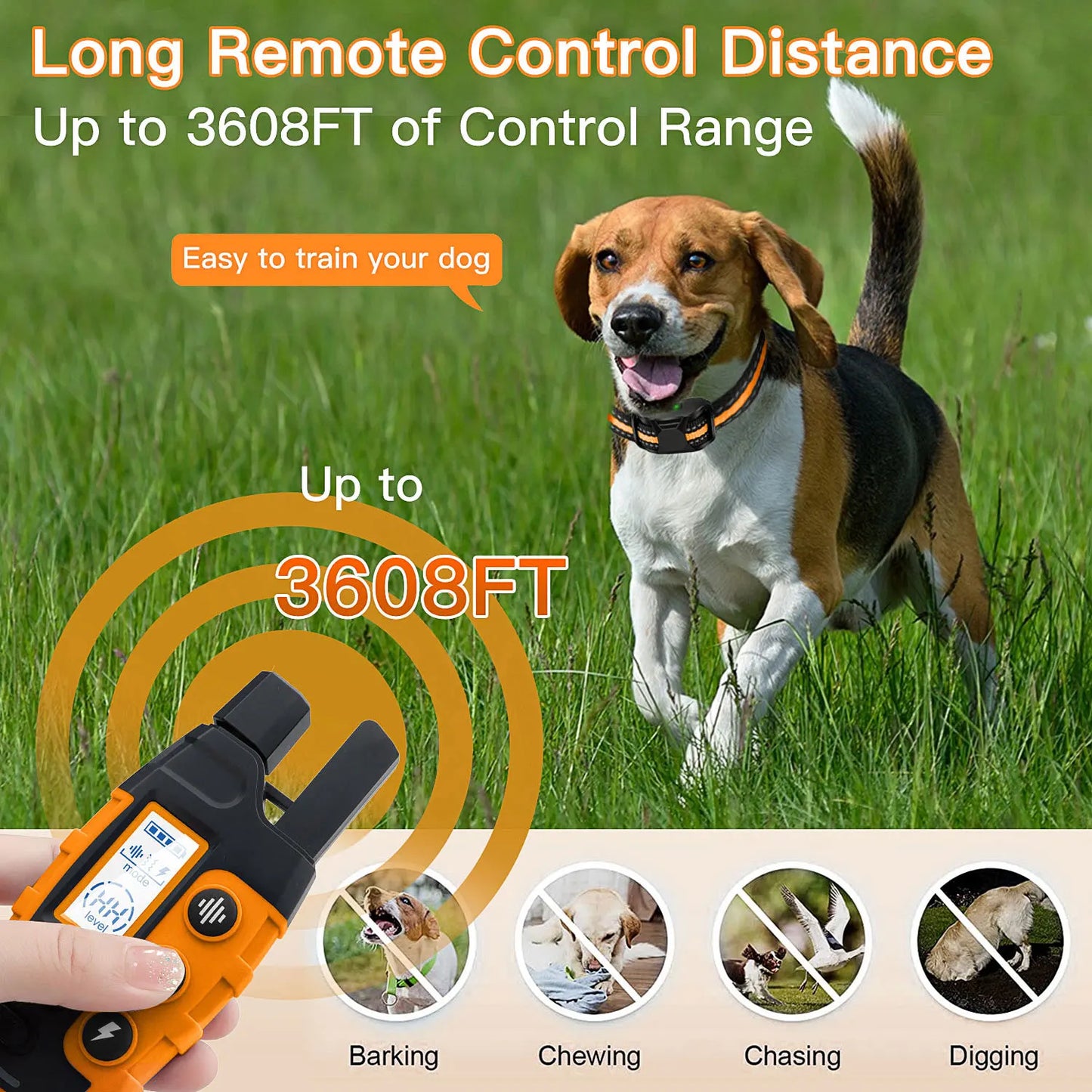 Electric Dogs  Training Collar