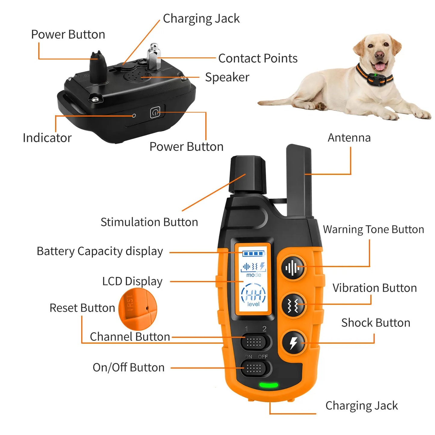 Electric Dogs  Training Collar