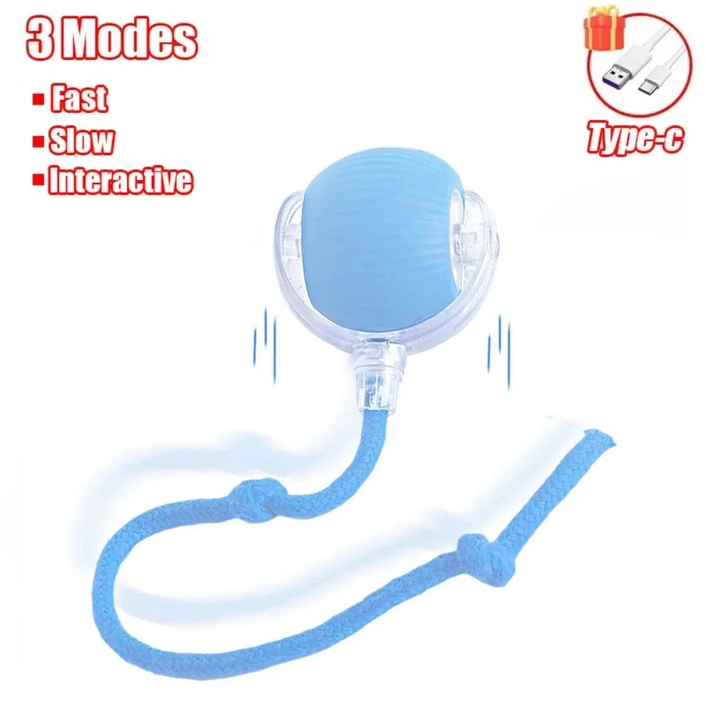 Smart Hunting Cat Toy