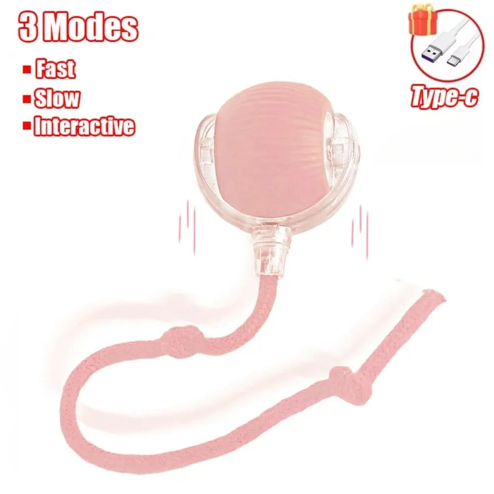 Smart Hunting Cat Toy