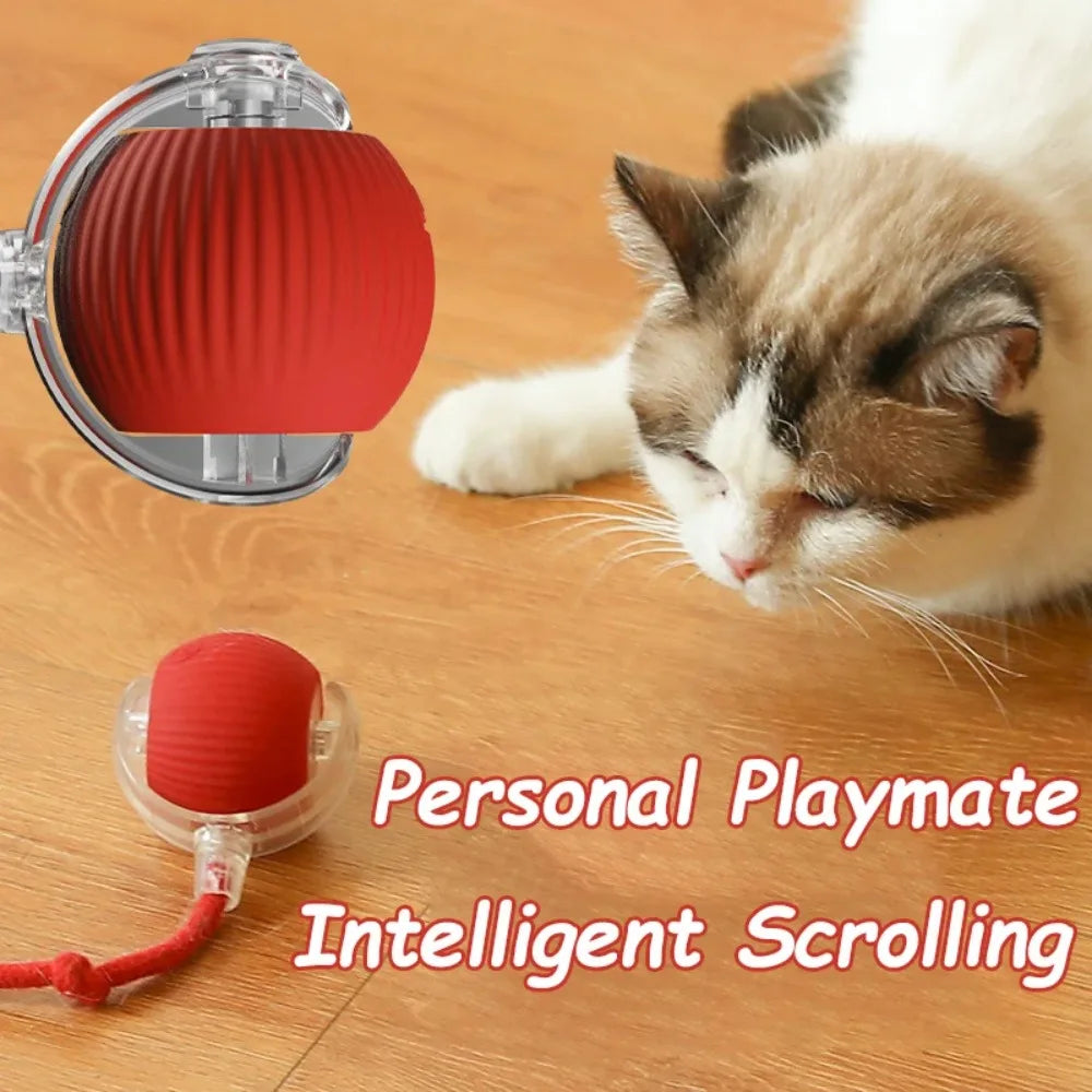 Smart Hunting Cat Toy