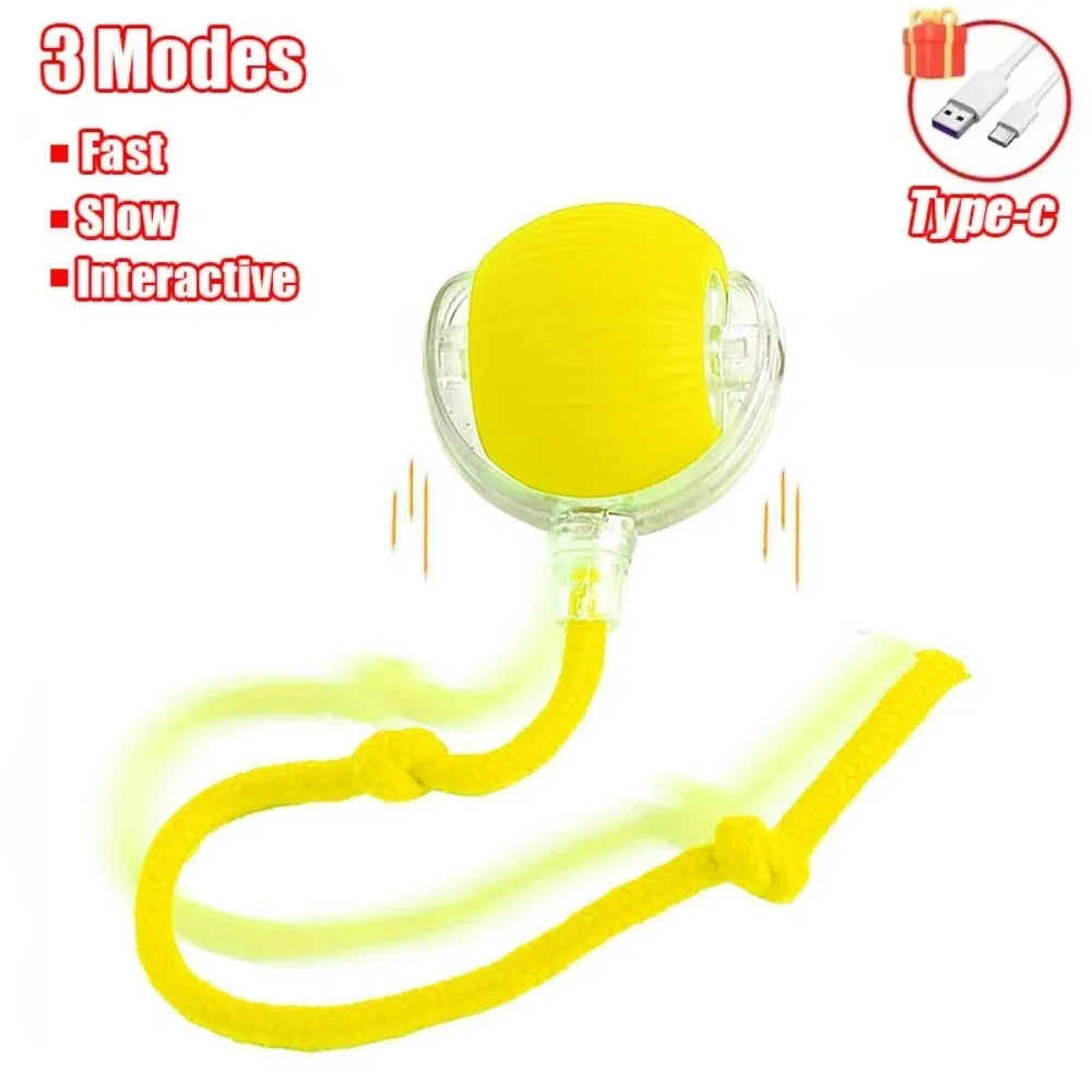 Smart Hunting Cat Toy