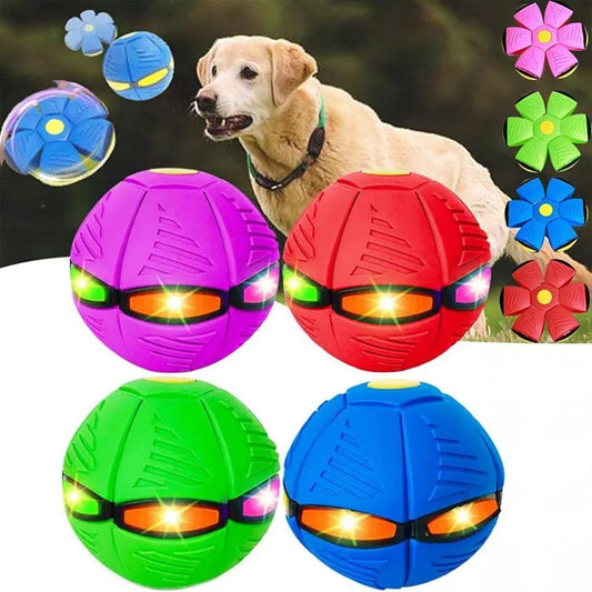 Flying UFO Dog Toy